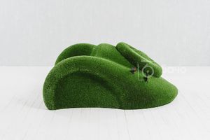 Топиари Автомобиль