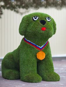 Топиари Собака чемпион