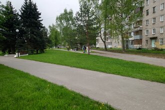 Городское озеленение