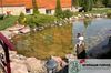 Со временем водоем приобретает естественный вид